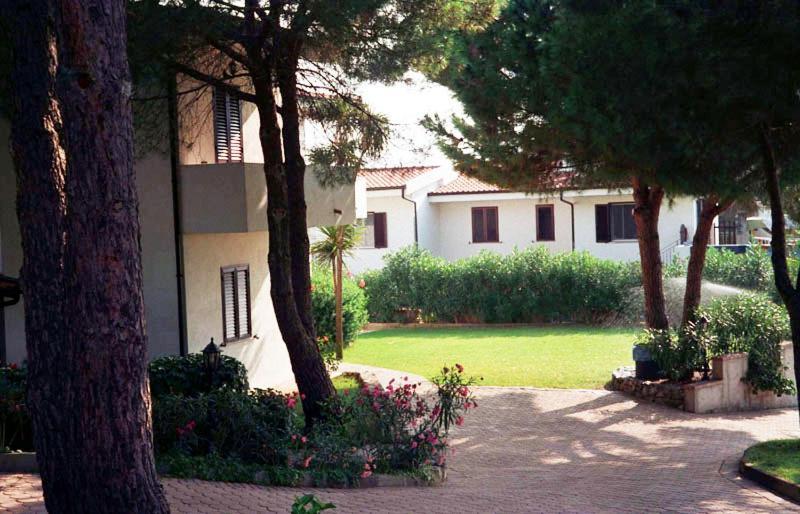 Villaggio Pineta Petto Bianco Capo Vaticano Dış mekan fotoğraf