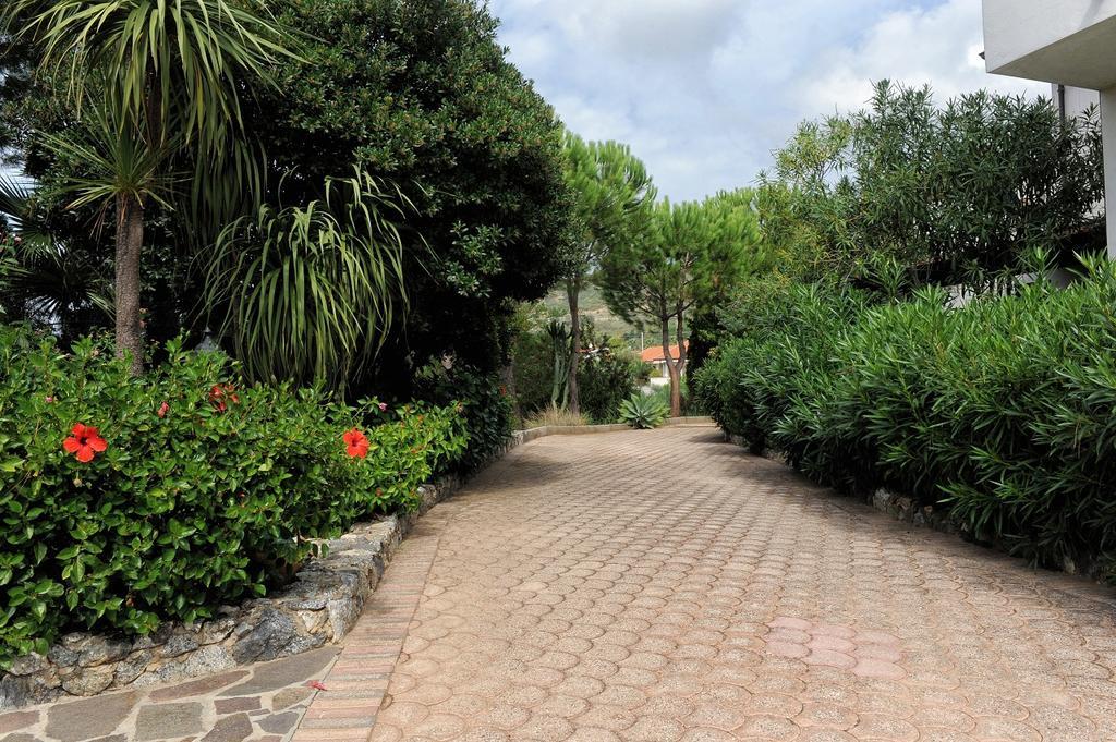 Villaggio Pineta Petto Bianco Capo Vaticano Dış mekan fotoğraf