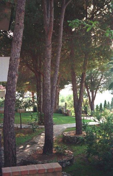 Villaggio Pineta Petto Bianco Capo Vaticano Dış mekan fotoğraf