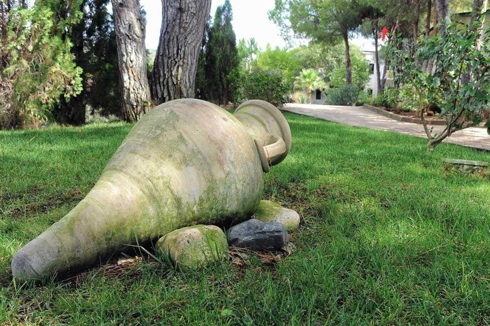 Villaggio Pineta Petto Bianco Capo Vaticano Dış mekan fotoğraf