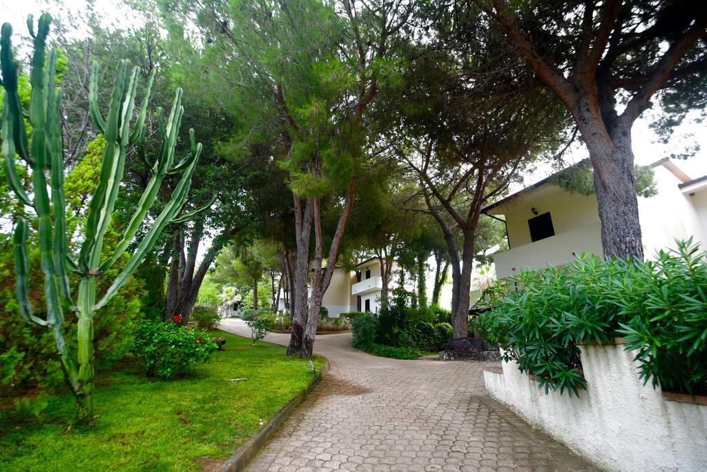 Villaggio Pineta Petto Bianco Capo Vaticano Dış mekan fotoğraf