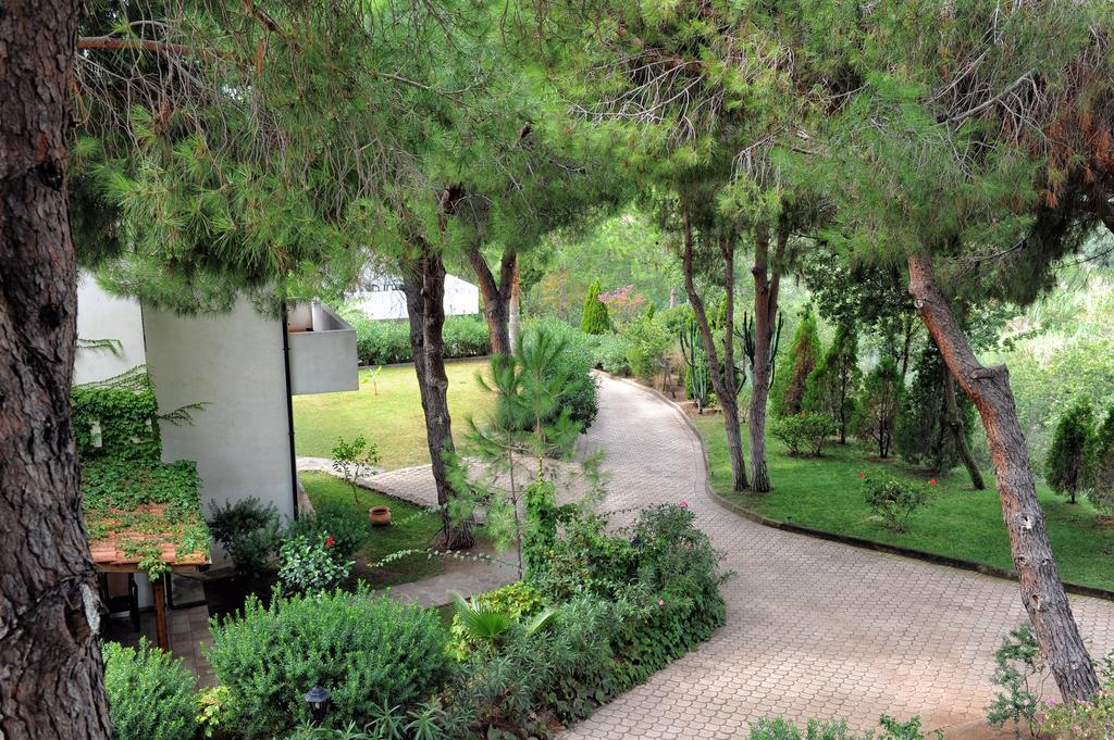 Villaggio Pineta Petto Bianco Capo Vaticano Dış mekan fotoğraf